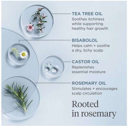 Briogeo Scalp Revival Rosemary Pre-Wash Oil ingredients list and benefits for your scalp care. Professional hair care salon quality 