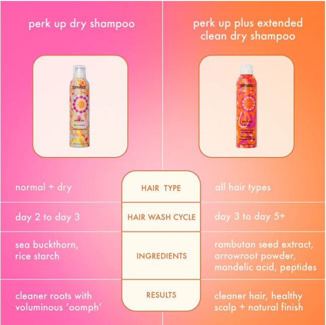 Perk Up Plus Extended Clean Dry Shampoo