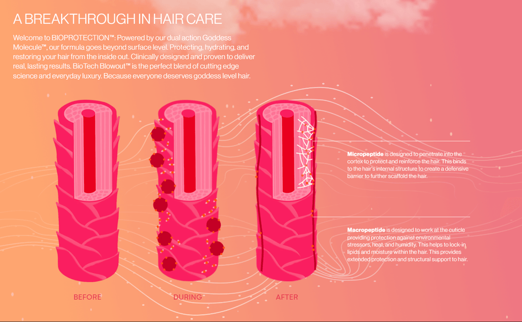Hair care product illustration with 'Before', 'Curing', and 'After' stages on a pink background.